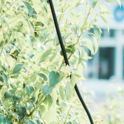 波胆app官网app下载